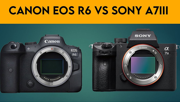 comparación de la cámara canon EOS R6 y la Sony A7III caracteristicas precios y ventajas
