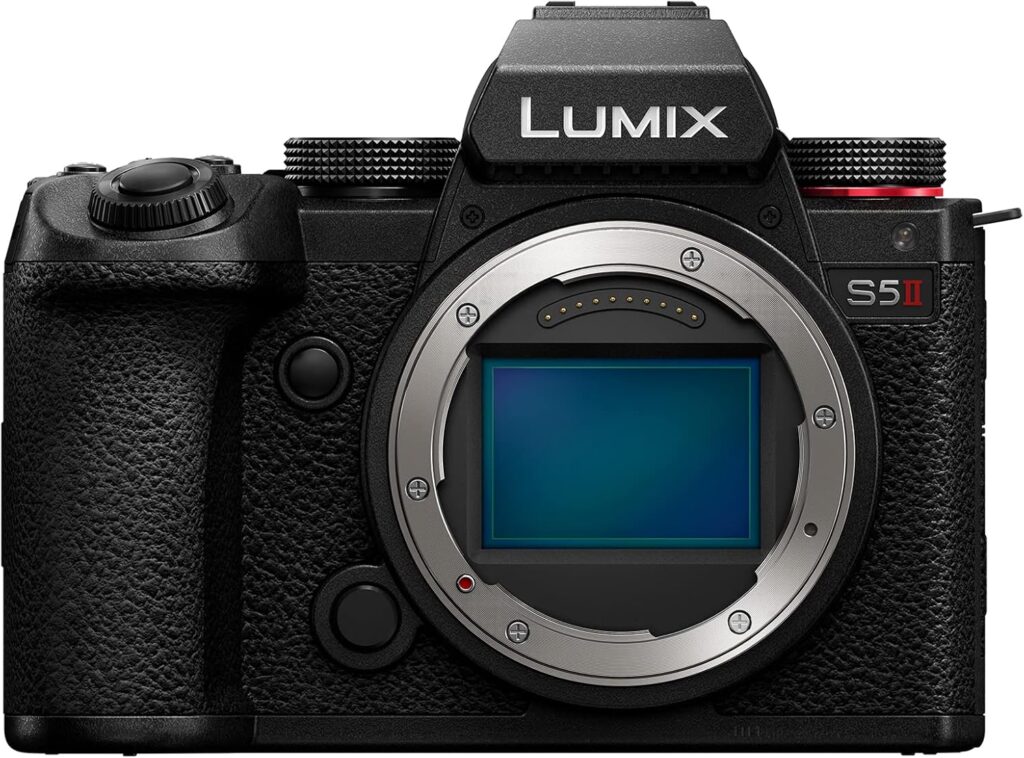 Panasonic Lumix S5II